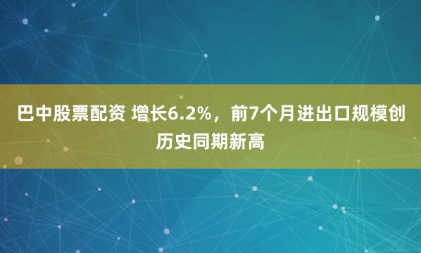 巴中股票配资 增长6.2%，前7个月进出口规模创历史同期新高