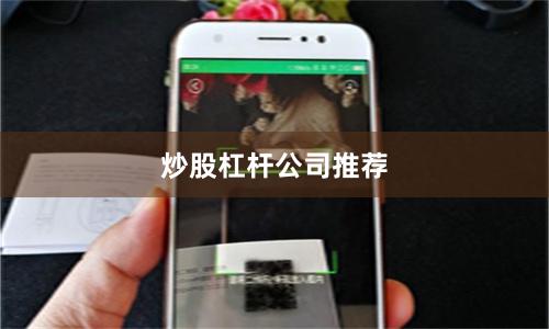 炒股杠杆公司推荐